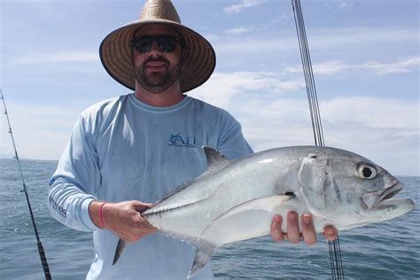 Types of Trevally: All You Need to Know for 2025 .